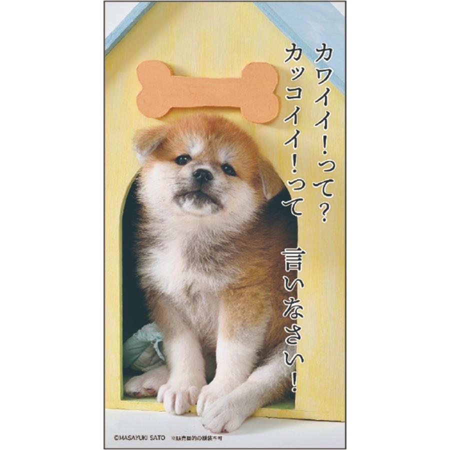 21年 カレンダー 卓上 スケジュール 秋田犬川柳 いぬ Apj 動物写真 書き込み インテリア Apj 21 Cl 017 雑貨 アートの通販店 ベルコモン 通販 Yahoo ショッピング