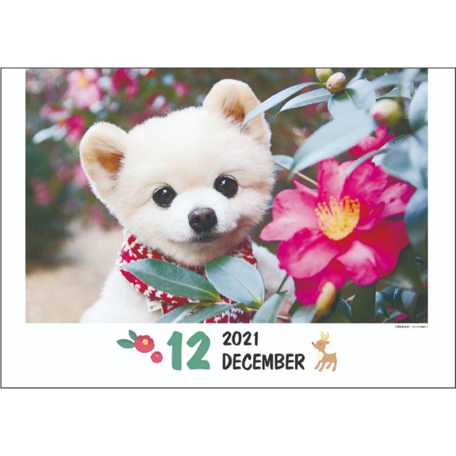 カレンダー 21 壁掛け 俊介 ポメラニアン スケジュール Apj いぬ Apj 21 Cl 030 雑貨 アートの通販店 ベルコモン 通販 Yahoo ショッピング