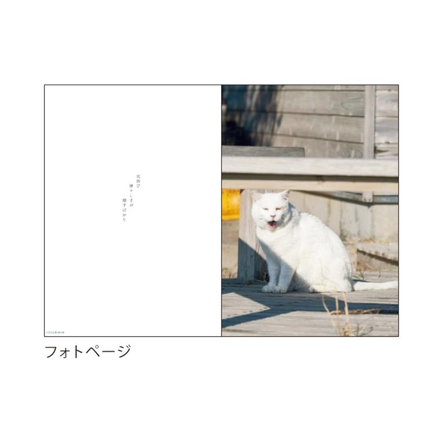 B6 マンスリー スケジュール帳 手帳 21 年 ねこ 猫川柳 Apj 月間 ダイアリー 10月始まり Apj 21 M 146 雑貨 アートの通販店 ベルコモン 通販 Yahoo ショッピング