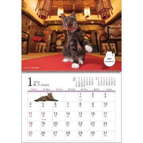 【30%OFF】2026Calendar 壁掛けカレンダー2026年 スケジュール 招福!お猫様カレンダー ねこ APJ 動物写真 書き込み インテリア |  | 01