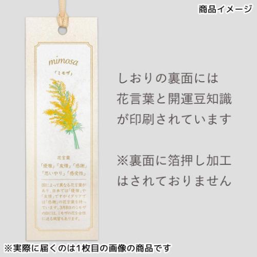 ブックマーク しおり 2枚入り ROKKAKU Hakuoshi Botanical バラ フタバ