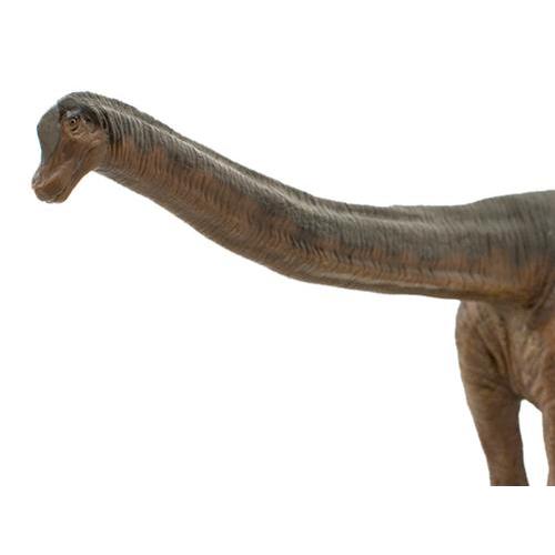 NEWソフトモデルフィギュア ブラキオサウルス 恐竜グッズ プレゼント