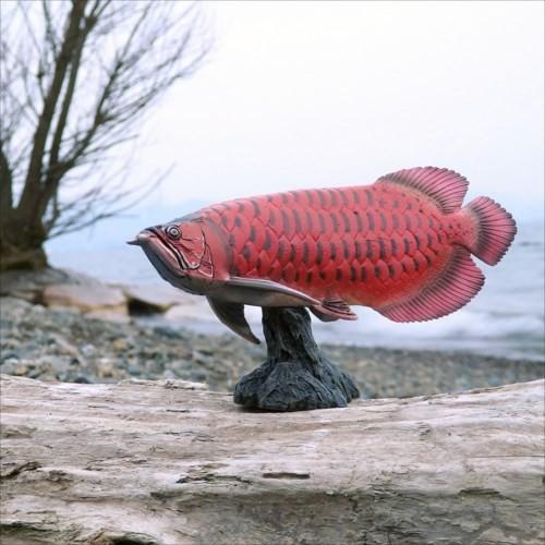 フィギュア ソフトモデルフィギュア アジアアロワナ 紅龍 フェバリット