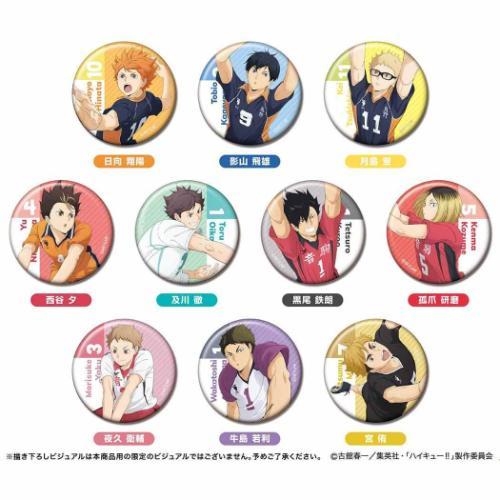 缶バッジコレクション 全10種 缶バッジ ハイキュー！！ 少年