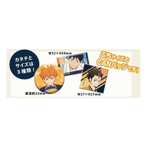 あれこれぷちCAN vol2 全24種 48個入セット 缶バッジ 烏野高校
