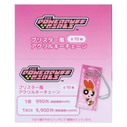 ブリスター風アクリルキーチェーン 全10種 10個入セット キーリング