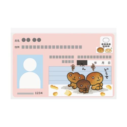 マイナカードクリアケース カードケース こげぱん サンエックス 6枚