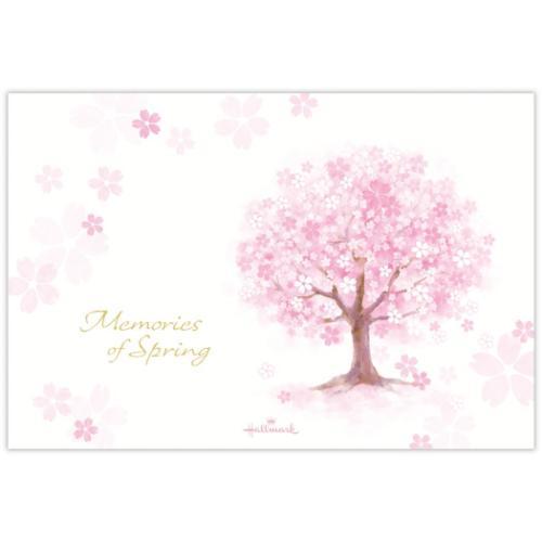 ポストカード 桜柄ハガキ箋 ヨコ罫線 1柄8枚入り メモリーズオブ