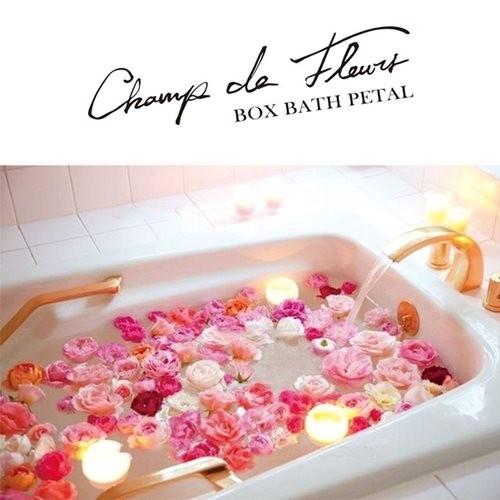 入浴剤 花びら バスペタル ギフトbox シャンドフルール プリエール ピンク ノルコーポレーション 母の日ギフト おしゃれ フラワー お風呂 雑貨 Nl Ob Egn 1 3 雑貨 アートの通販店 ベルコモン 通販 Yahoo ショッピング