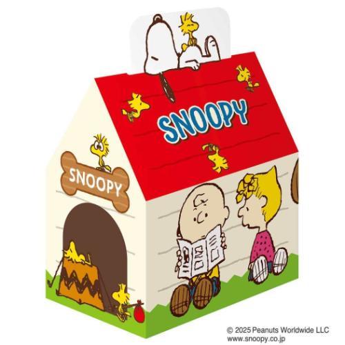 お菓子 チョコチップクッキー ハウススイーツBOX スヌーピー お菓子 チョコチップクッキー ハウススイーツBOX スヌーピー