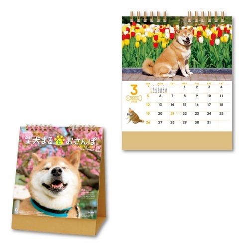 卓上カレンダー2023年 2023Calendar 柴犬まるとおさんぽ スケジュール いぬ 新日本カレンダー