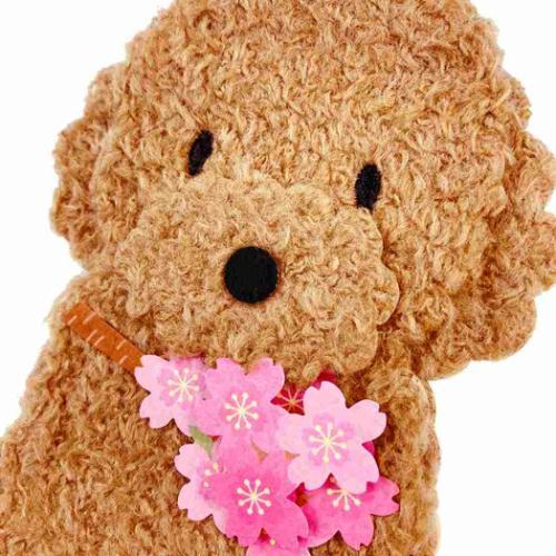グリーティングカード ダイカット素材付きカード 春 トイプードル桜