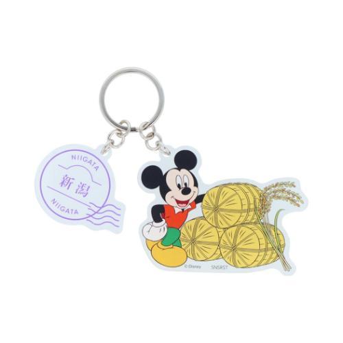 キーリング 2連アクリルキーホルダー DREAM TRAVEL 新潟県