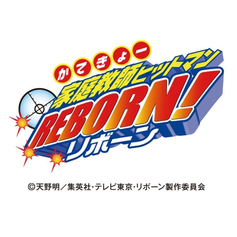 カレンダー 21年 壁掛け 家庭教師ヒットマンreborn リボーン 少年ジャンプ トライエックス 令和3年 暦 Tx 21 Cl 085 雑貨 アートの通販店 ベルコモン 通販 Yahoo ショッピング