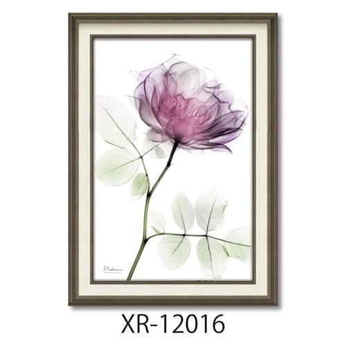 フラワーアート X RAYキャンバスアート ラウンドローズ Mサイズ アルバートクーツィール ユーパワー XR-12016