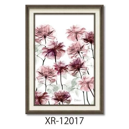 フラワーアート X RAYキャンバスアート アルバートクーツィール フラワーベッド Mサイズ ユーパワー 爆買