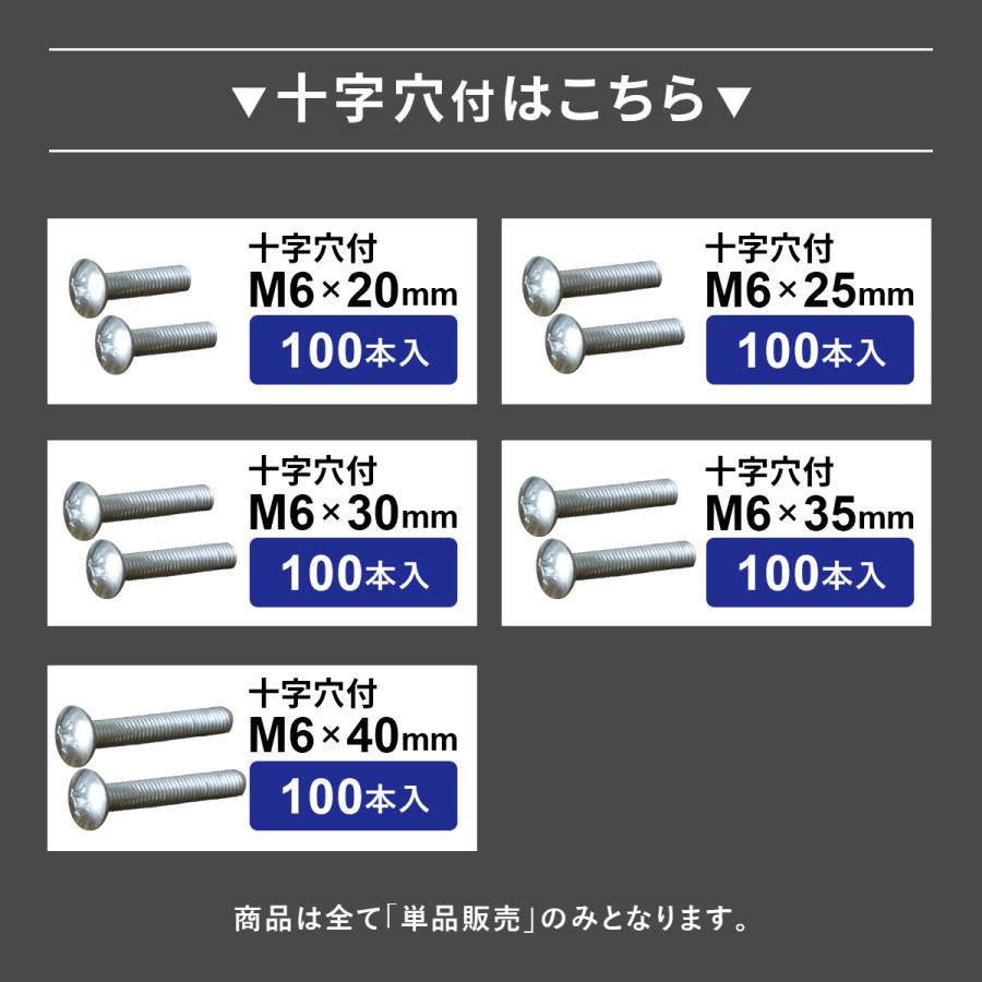 DORIS（ドリス） M6ネジ M6 ネジ 100本セット プラスネジ ボルト ナット 部品 パーツ 家具用ネジ 家具用 DIY スチール ...