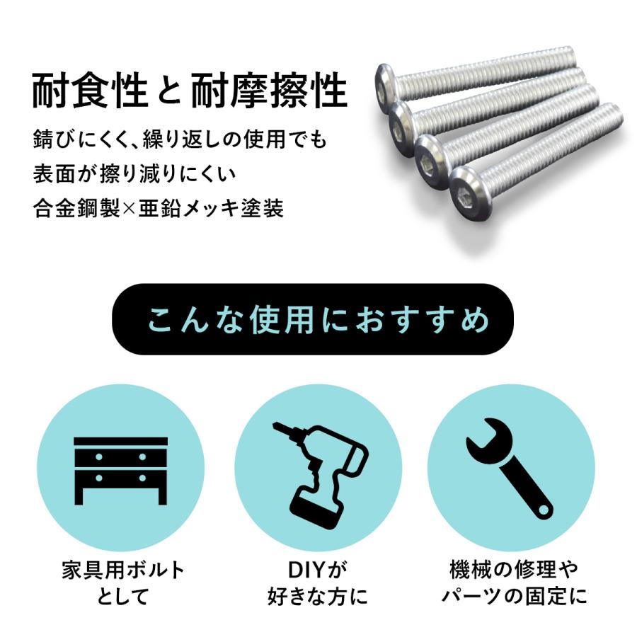 DORIS（ドリス） M6ネジ M6 ネジ 100本セット プラスネジ ボルト ナット 部品 パーツ 家具用ネジ 家具用 DIY スチール ...