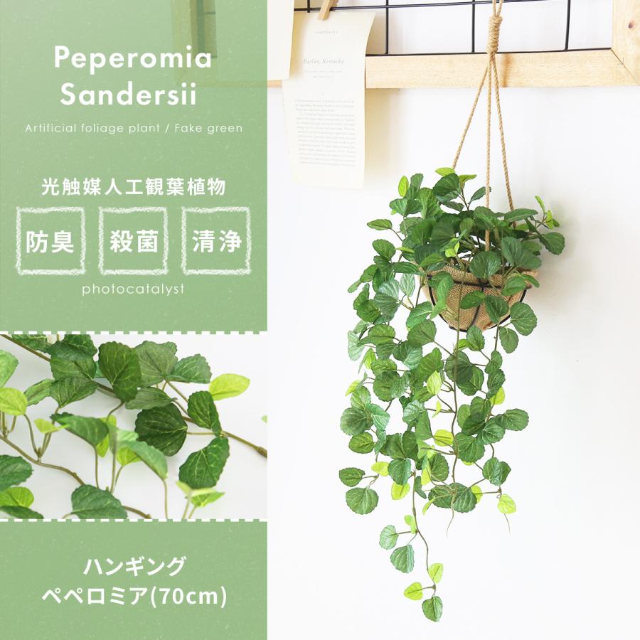DORIS（ドリス） 人工観葉植物 光触媒 水やり不要 インテリアグリーン