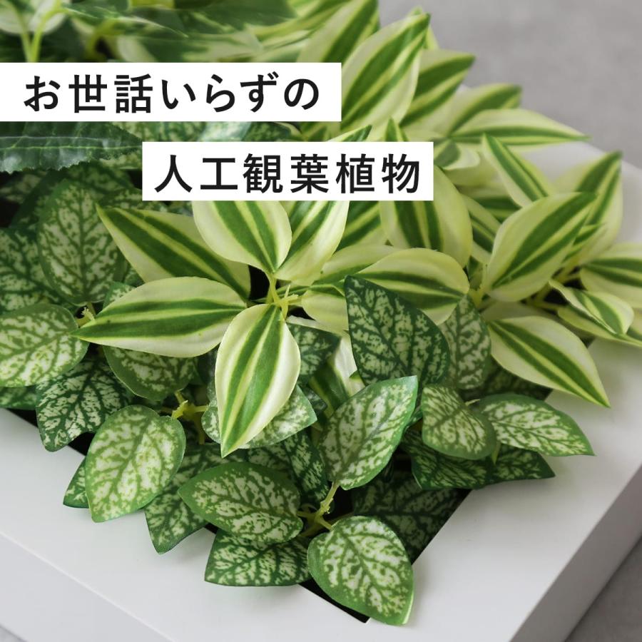 DORIS（ドリス） 人工植物 観葉植物 光触媒 造花 植物 フェイク