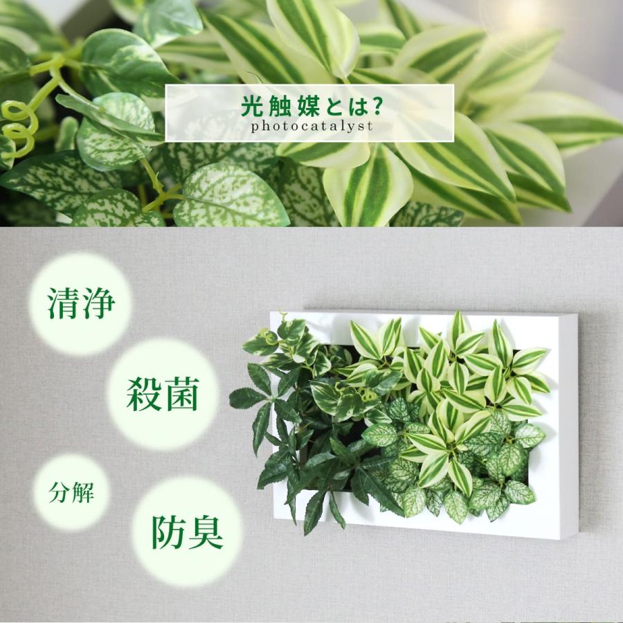DORIS（ドリス） 人工植物 観葉植物 光触媒 造花 植物 フェイク