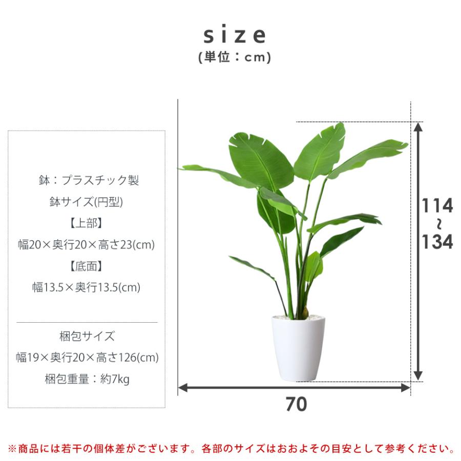 DORIS（ドリス） 人工植物 観葉植物 光触媒 造花 植物 フェイク