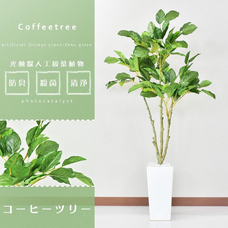 DORIS（ドリス） 人工植物 観葉植物 光触媒 造花 植物 フェイク