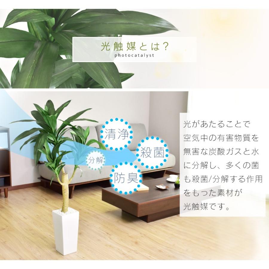 人工植物 観葉植物 光触媒 造花 植物 フェイクグリーン 鉢付き リビング 消臭 殺菌 防臭 ドラセナl 北欧 Dr Dracaena L Velle 通販 Yahoo ショッピング