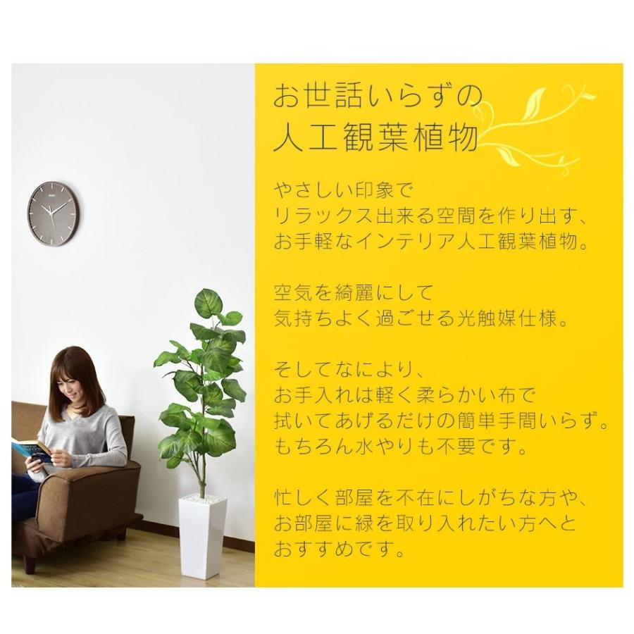 DORIS - 人工草木 観葉草木 光触媒 造花 草木 フェイクグリーン 鉢付き添い人 リビング 消臭 無菌化 防臭 フィカス ウンベラータ 120糎 北欧 ド木鼠