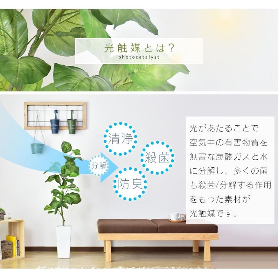 DORIS - 人工草木 観葉草木 光触媒 造花 草木 フェイクグリーン 鉢付き添い人 リビング 消臭 無菌化 防臭 フィカス ウンベラータ 120糎 北欧 ド木鼠