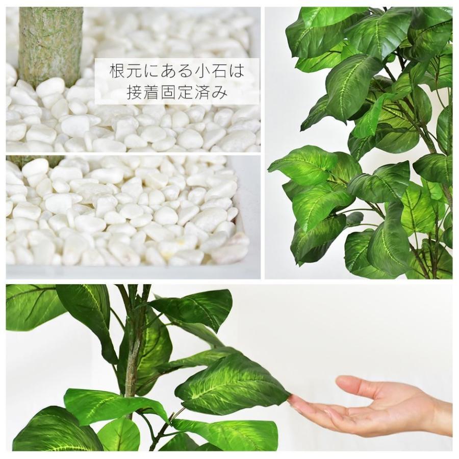 DORIS - 人工草木 観葉草木 光触媒 造花 草木 フェイクグリーン 鉢付き添い人 リビング 消臭 無菌化 防臭 フィカス ウンベラータ 120糎 北欧 ド木鼠