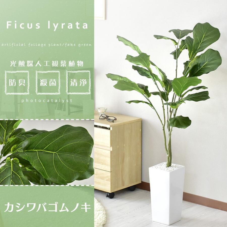 観葉植物 人工観葉植物 フェイクグリーン カシワバゴムノキ 北欧 Dr Ficuslyrata Velle 通販 Yahoo ショッピング