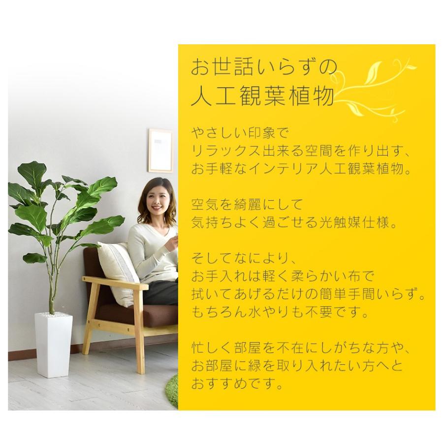DORIS（ドリス） 観葉植物 人工観葉植物 フェイクグリーン
