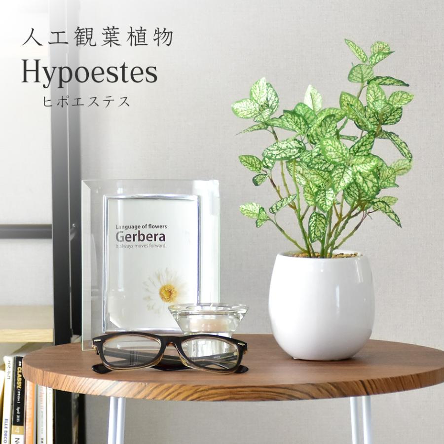 人工植物 観葉植物 光触媒 造花 植物 フェイクグリーン 鉢付き リビング 消臭 殺菌 防臭 ヒポエステス 北欧 Dr Hypoestes Velle 通販 Yahoo ショッピング