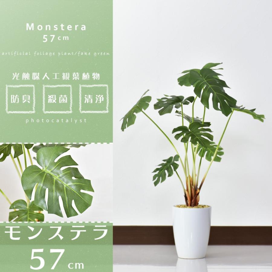 DORIS（ドリス） 人工植物 観葉植物 光触媒 造花 植物 フェイク