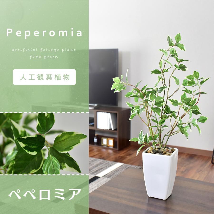 全品 Off 人工植物 観葉植物 光触媒 造花 植物 フェイクグリーン 鉢付き リビング 消臭 殺菌 防臭 ペペロミア 北欧 プレゼント 安い 人気 Dr Peperomia Velle 通販 Yahoo ショッピング