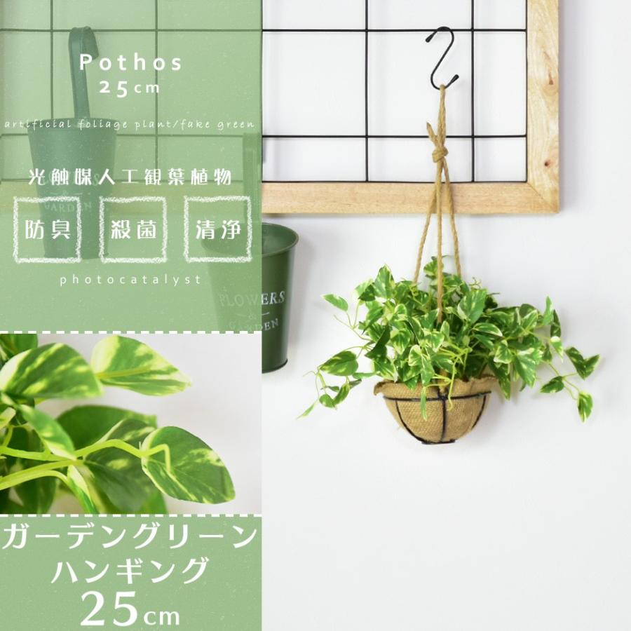 人工植物 観葉植物 光触媒 造花 植物 フェイクグリーン 鉢付き リビング 消臭 殺菌 防臭 ガーデングリーン ハングキング 25cm 北欧 Dr Pothos Velle 通販 Yahoo ショッピング