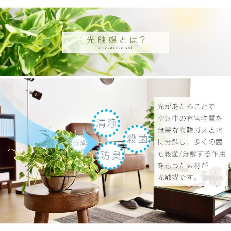 98 Off キッチン フェイクグリーン 開業祝 オフィス 光触媒観葉植物 ギフト 部屋に飾る 玄関 フロアタイプ 開店祝 アルテシマ1 2 プレゼント 展示場 店舗 御祝 インテリア リビング 引越祝 おしゃれ 贈答 鉢植え アートグリーン 記念 5lサイズ 緑 花 観葉植物