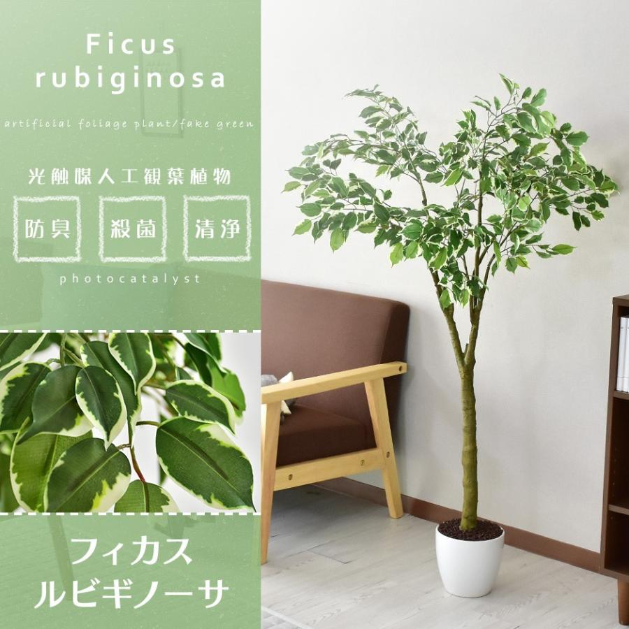 DORIS（ドリス） 人工植物 観葉植物 光触媒 造花 植物 フェイク
