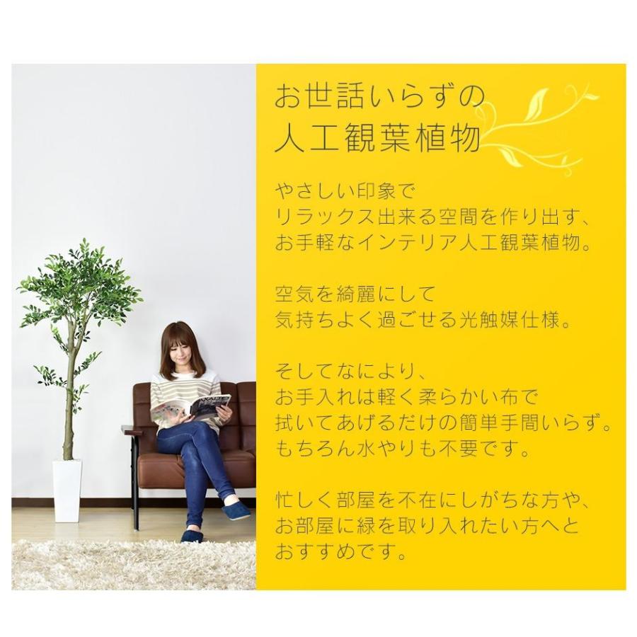 人工植物 観葉植物 光触媒 造花 植物 フェイクグリーン 鉢付き リビング 消臭 殺菌 防臭 イボタノキモクセイ科 150cm 北欧 ドリス | DORIS | 01