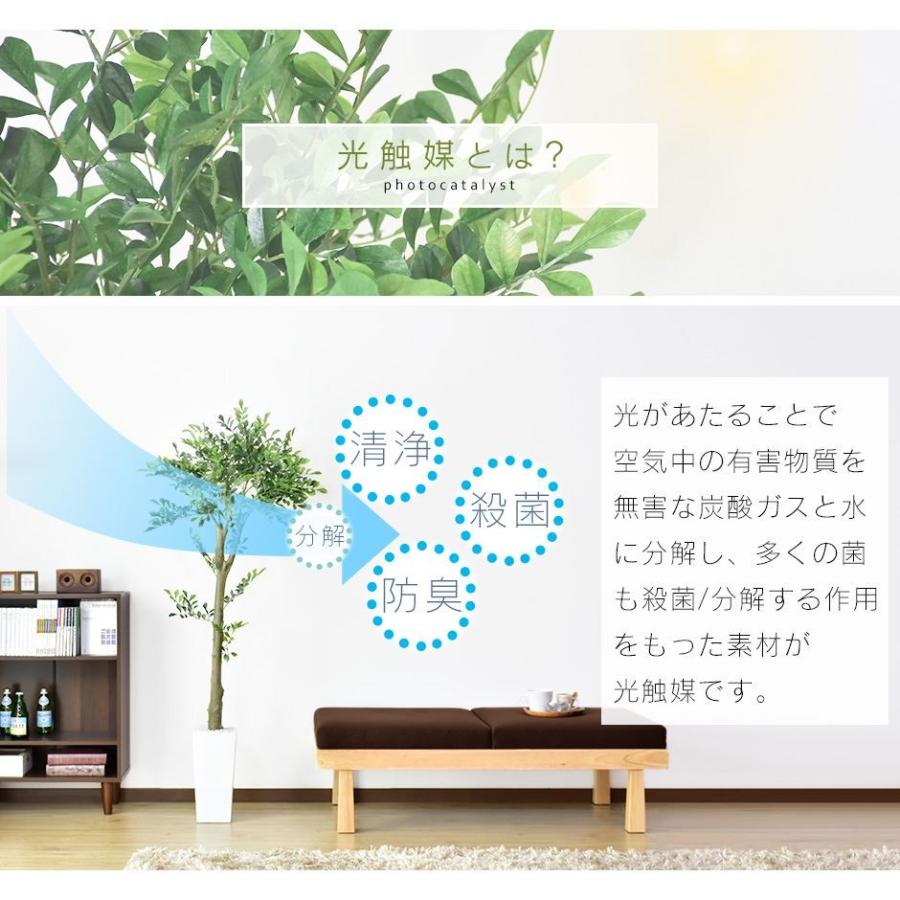 人工植物 観葉植物 光触媒 造花 植物 フェイクグリーン 鉢付き リビング 消臭 殺菌 防臭 イボタノキモクセイ科 150cm 北欧 ドリス | DORIS | 02