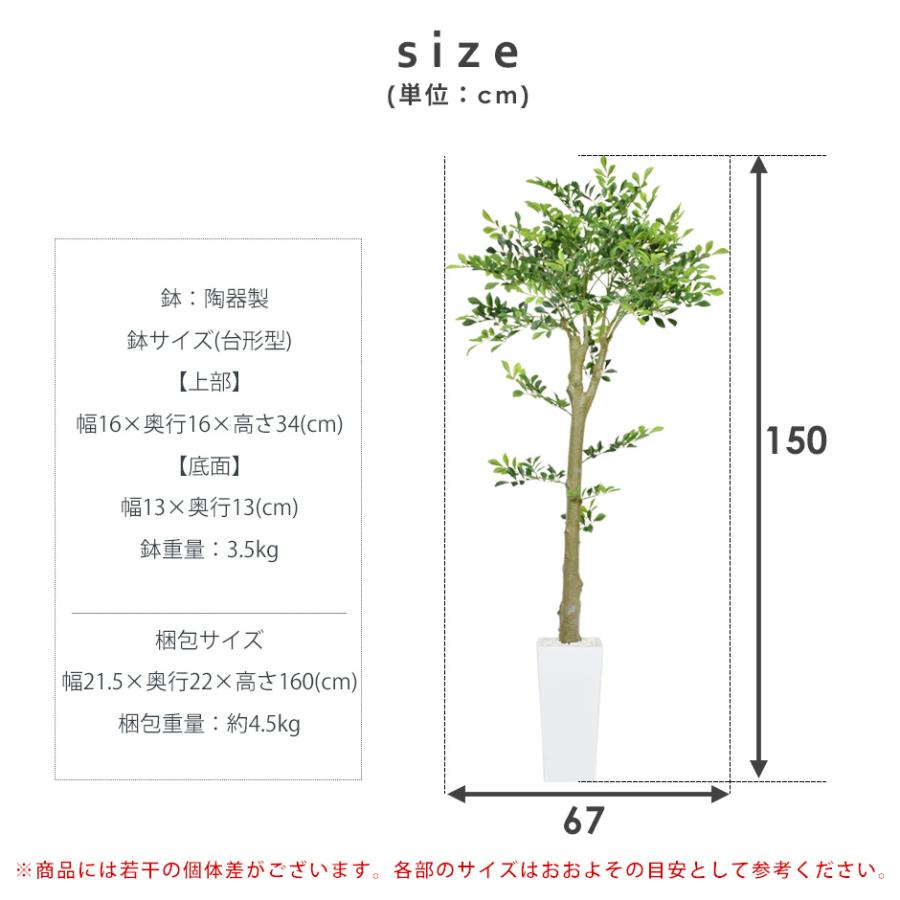 人工植物 観葉植物 DORIS 光触媒 造花 植物 フェイクグリーン 鉢付き リビング 消臭 殺菌 防臭 イボタノキモクセイ科 150cm 北欧 ドリス｜velle｜09