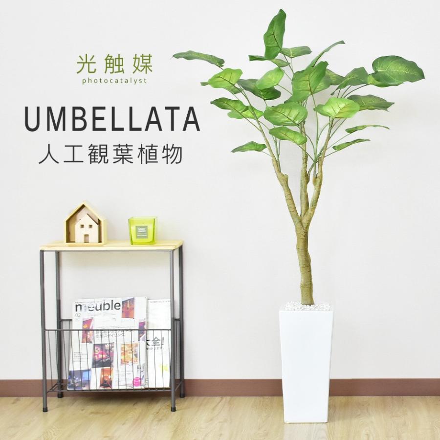 P10倍 人工植物 観葉植物 光触媒 造花 植物 フェイクグリーン 鉢付き リビング 消臭 殺菌 防臭 ウンベラータ 1cm 北欧 Dr Umbellata Velle 通販 Yahoo ショッピング