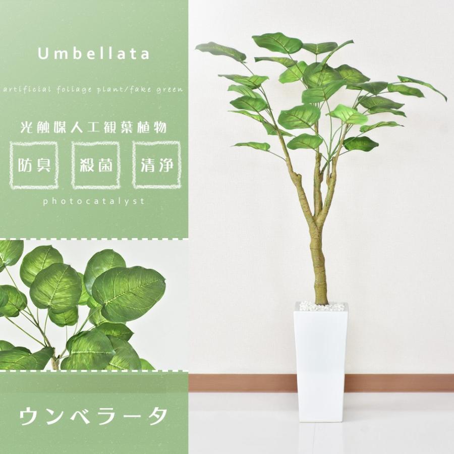 全品 Off 人工植物 観葉植物 光触媒 造花 植物 フェイクグリーン 鉢付き リビング 消臭 殺菌 防臭 ウンベラータ 1cm 北欧 プレゼント 安い 人気 Dr Umbellata Velle 通販 Yahoo ショッピング