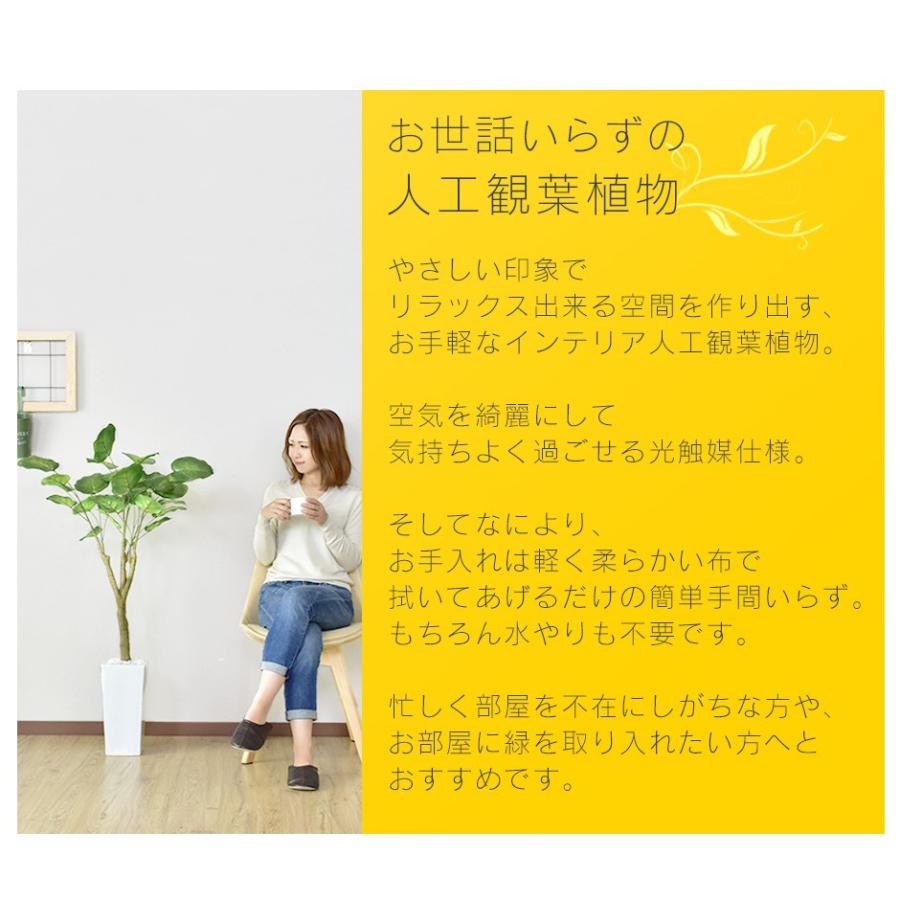 DORIS（ドリス） 人工植物 観葉植物 光触媒 造花 植物 フェイク