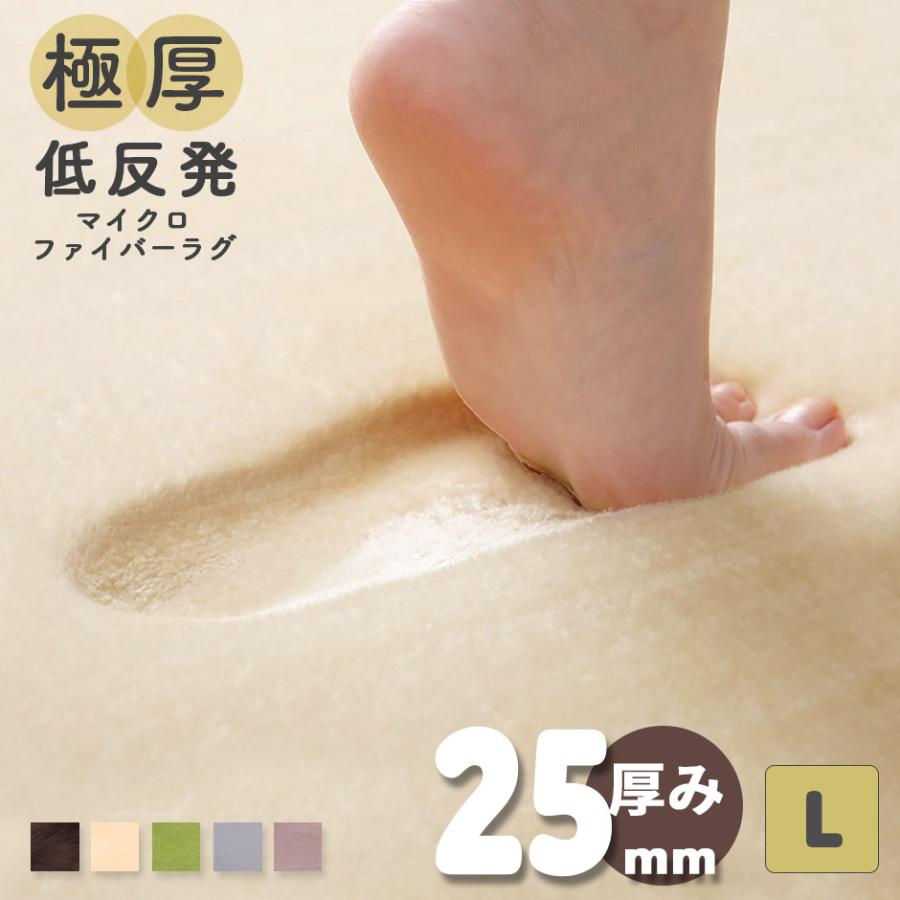 DORIS（ドリス） 極厚低反発ラグ 幅200 奥行250 厚み2.5 低反発