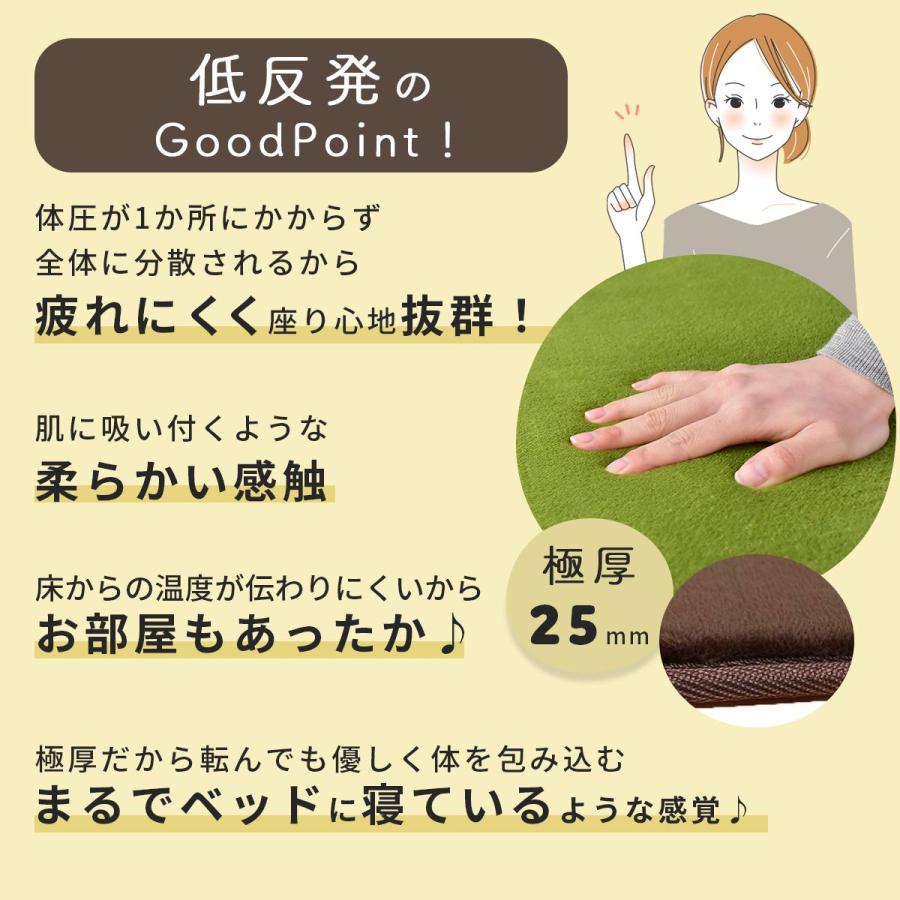 DORIS（ドリス） 極厚低反発ラグ 幅200 奥行300 厚み2.5 低反発