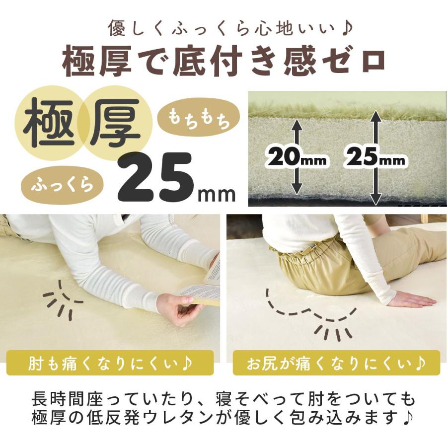 DORIS（ドリス） 極厚低反発ラグ 幅200 奥行300 厚み2.5 低反発