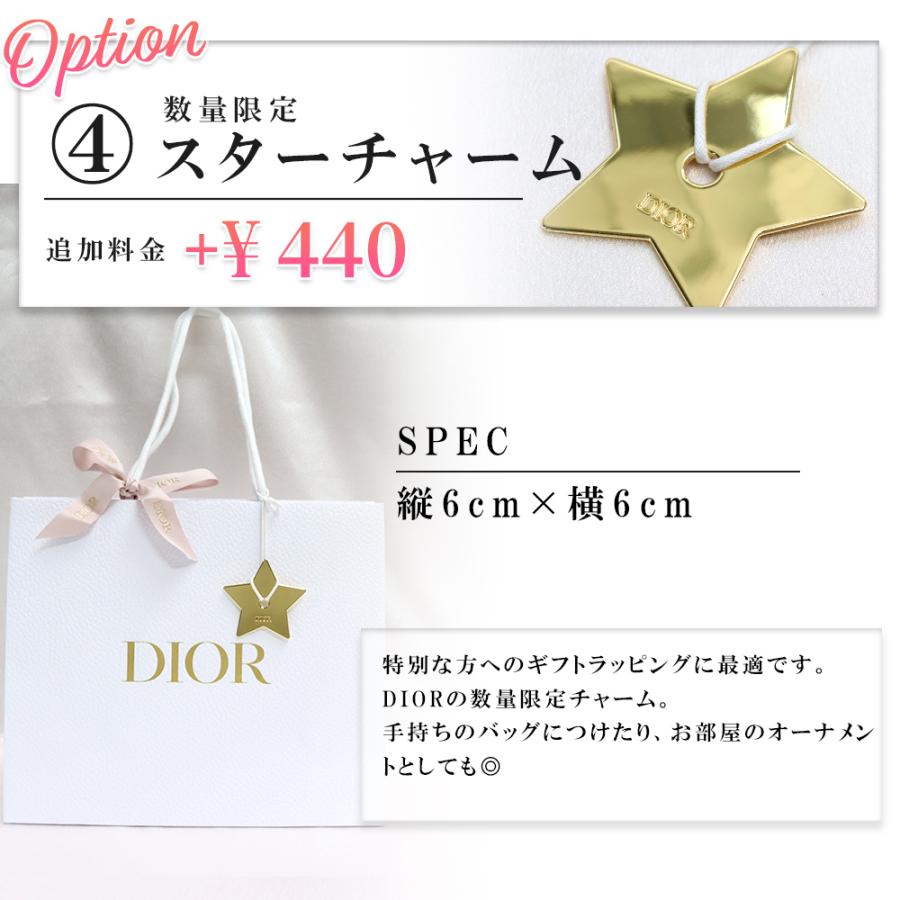 Christian Dior（クリスチャン・ディオール） DIOR スター チャーム