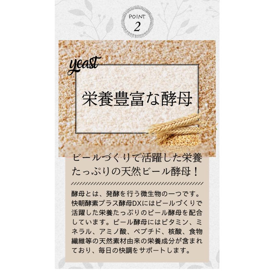 快朝酵素プラス酵母DX248粒 酵素 酵母 ダイエット サプリメント サプリ